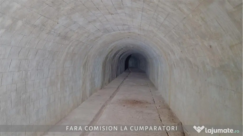 OPORTUNITATE UNICA IN DOMENIUL VITICOL - Orlesti (Valcea)