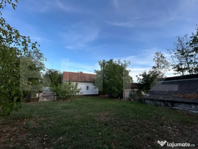 Casa de vanzare-6000mp teren - Coltesti (Alba)