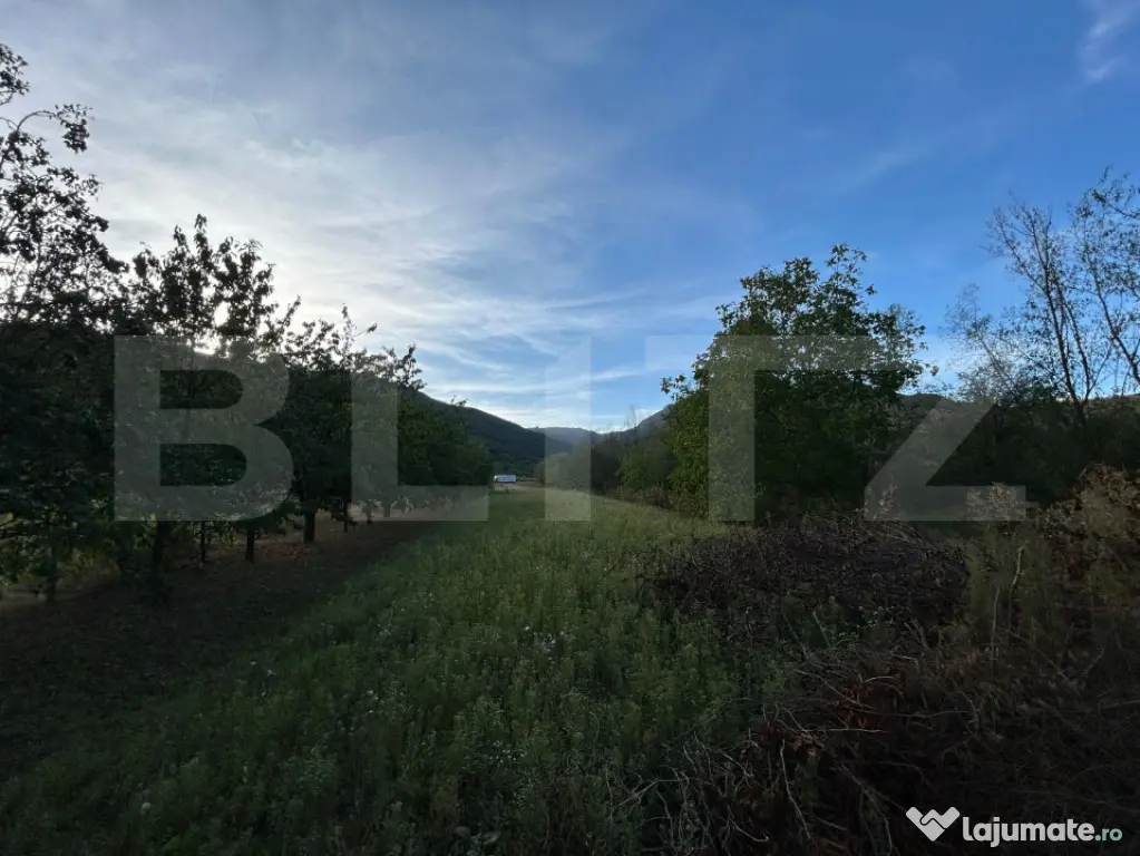 Casa de vanzare-6000mp teren - Coltesti (Alba)
