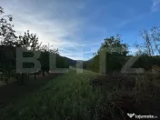 Casa de vanzare-6000mp teren