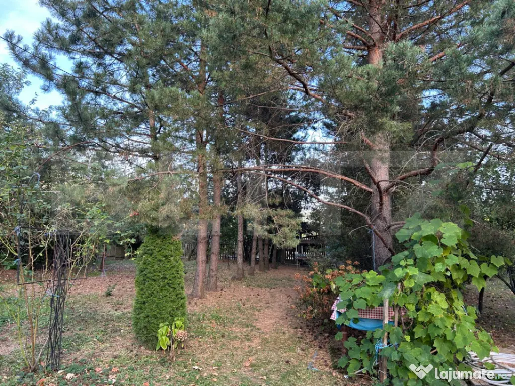 Casa de vanzare-6000mp teren - Coltesti (Alba)