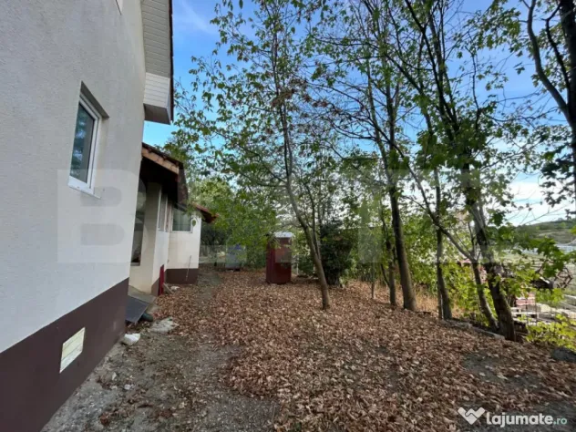 Casa de vanzare-6000mp teren - Coltesti (Alba)