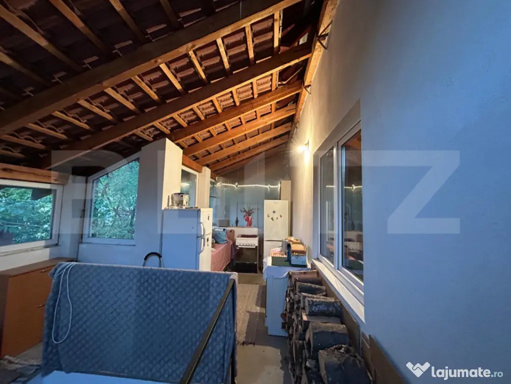 Casa de vanzare-6000mp teren - Coltesti (Alba)