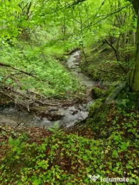 Teren superb 7.400 mp intravilan, natură, aproape mănăsti 