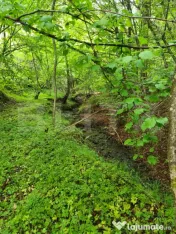 Teren superb 7.400 mp intravilan, natură, aproape mănăsti 