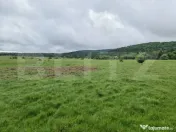 Teren superb 7.400 mp intravilan, natură, aproape mănăsti 