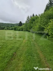 Teren superb 7.400 mp intravilan, natură, aproape mănăsti 