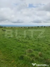Teren superb 7.400 mp intravilan, natură, aproape mănăsti 
