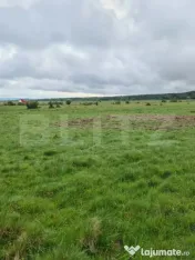 Teren superb 7.400 mp intravilan, natură, aproape mănăsti 