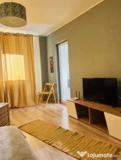 Iancului etaj 1 elev Stefanescu 