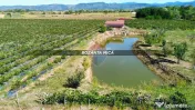 Teren 29,656mp Bozanta Mica / Strada Deva