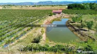 Teren 29,656mp Bozanta Mica / Strada Deva 