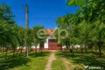 Două case de vânzare, separat sau împreună – Drăgoie?
