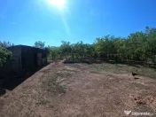 HALĂ DE VÂNZARE | 650 MP UTILI | TEREN 1.600 MP | PANOURI 