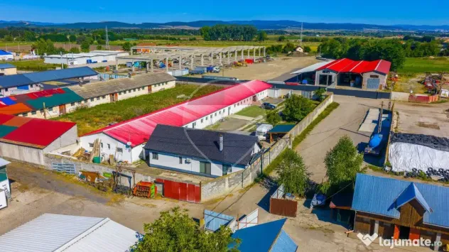Hala de vanzare si casa pe acelasi teren- Comision 0%- Pr... - Prejmer (Brasov)