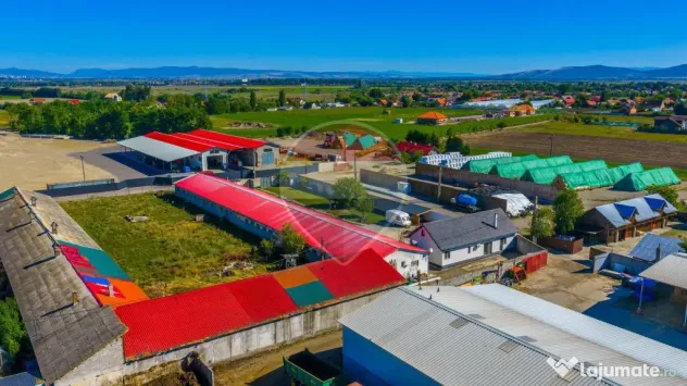 Hala de vanzare si casa pe acelasi teren- Comision 0%- Pr... - Prejmer (Brasov)