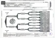 Ciobănesc German – 3 femeluțe, părinți cu pedigree COR 