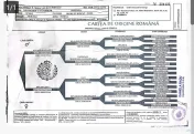 Ciobănesc German – 3 femeluțe, părinți cu pedigree COR 