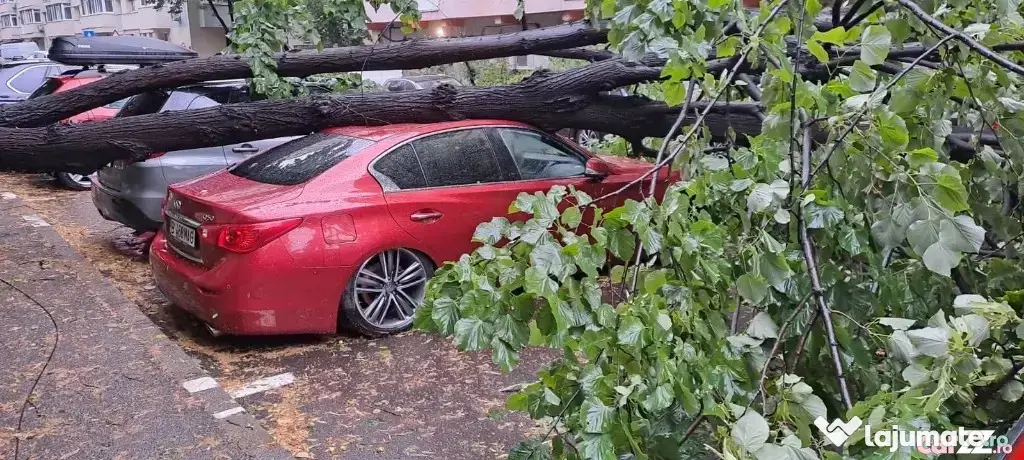 Auto avariat Infiniti Q50 - Bucuresti (Bucuresti-Ilfov)