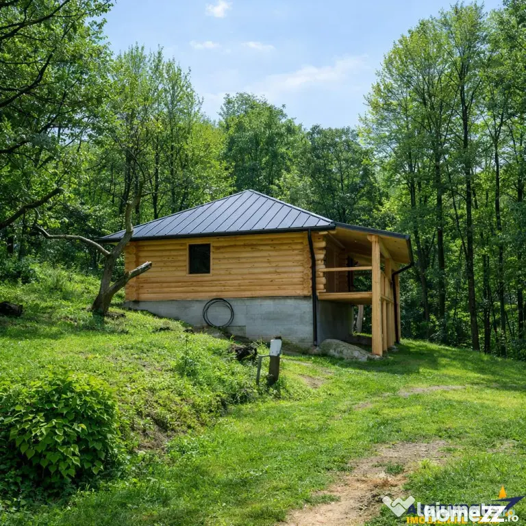 3.000mp de incantare montana cu cabana din lemn masiv, Zarne - Zarnesti (Arges)