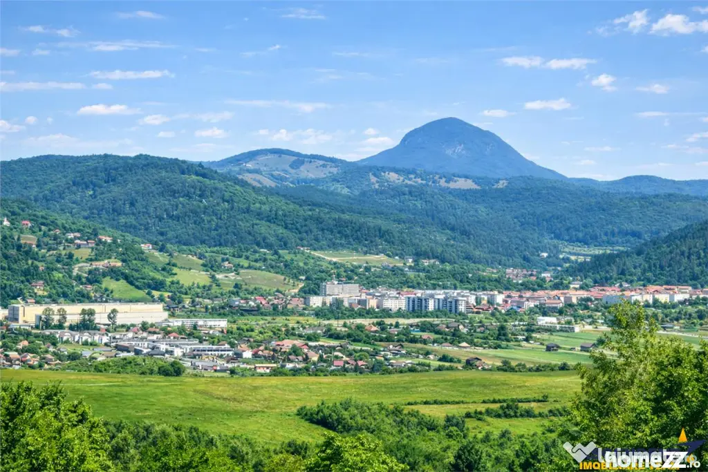 3.000mp de incantare montana cu cabana din lemn masiv, Zarne - Zarnesti (Arges)