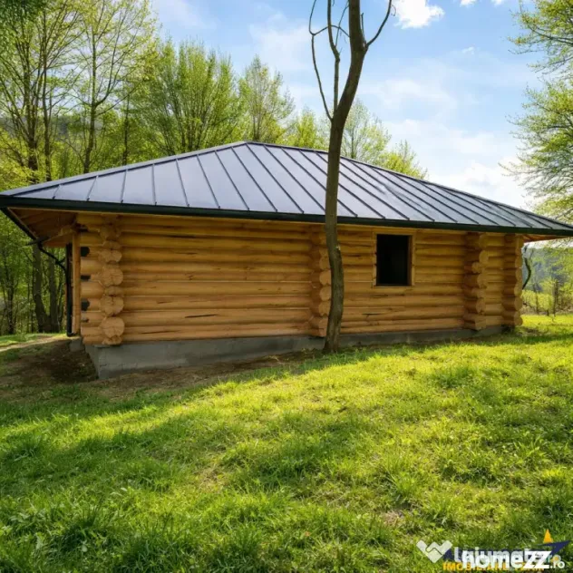 3.000mp de incantare montana cu cabana din lemn masiv, Zarne - Zarnesti (Arges)