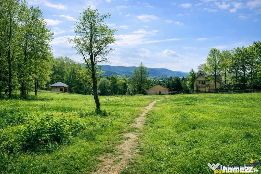 3.000mp de incantare montana cu cabana din lemn masiv, Zarne - Zarnesti (Arges)