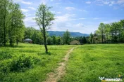 3.000mp de incantare montana cu cabana din lemn masiv, Zarne