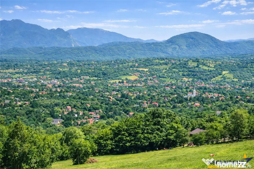3.000mp de incantare montana cu cabana din lemn masiv, Zarne - Zarnesti (Arges)