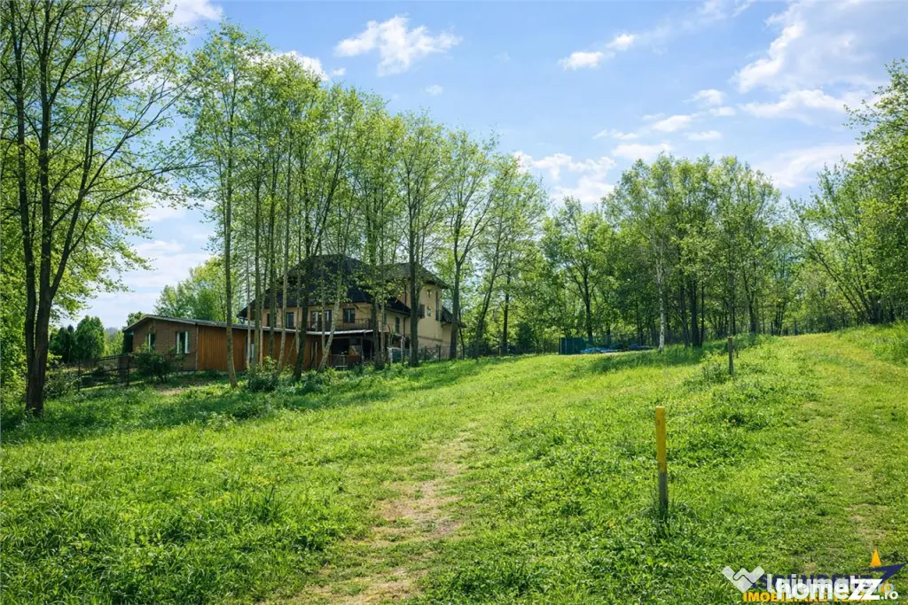 3.000mp de incantare montana cu cabana din lemn masiv, Zarne - Zarnesti (Arges)