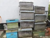Vând 10 stupi orizontali 