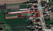 Casă cu gradina mare in Madaras
