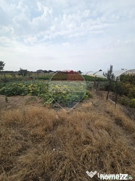 Casă cu gradina mare - Madaras (Bihor)