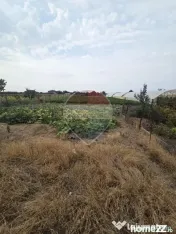 Casă cu gradina mare in Madaras