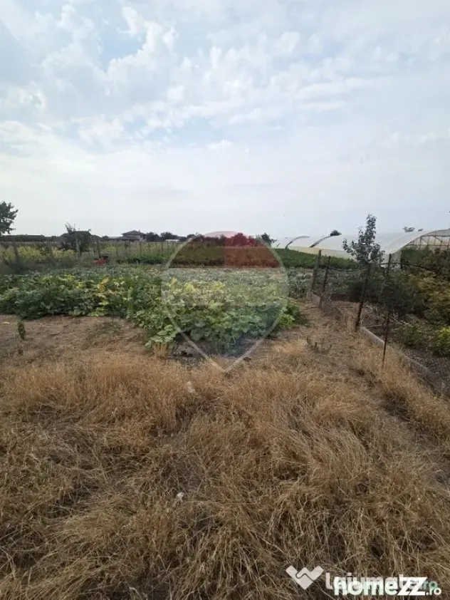 Casă cu gradina mare - Madaras (Bihor)