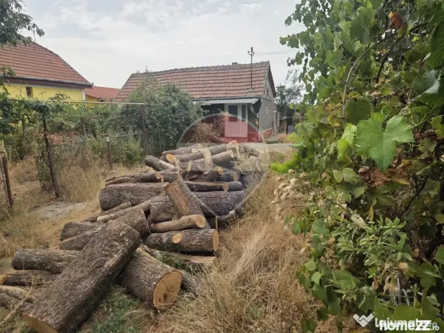 Casă cu gradina mare - Madaras (Bihor)