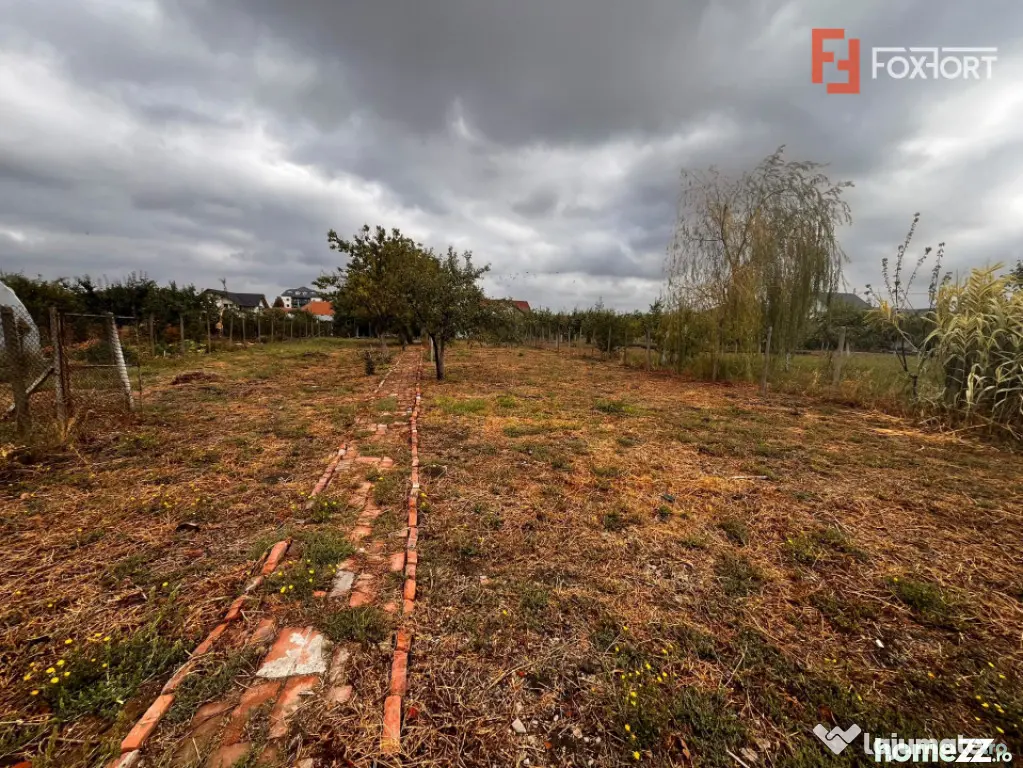 Casa cu teren de 1438 mp de vanzare - Recas - Recas (Timis)