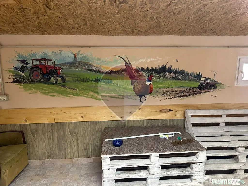 Casă Suplacu de Tinca/magazin+terasă - Suplacu De Tinca (Bihor)