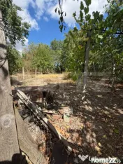 ???? Blitz vă oferă spre vânzare casă familială cu tere 
