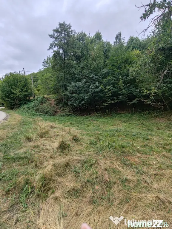 637 mp la marginea pădurii, Ulmoasa – loc pentru o casă - Ulmoasa (Maramures)