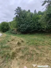 637 mp la marginea pădurii, Ulmoasa – loc pentru o casă 