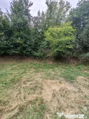 637 mp la marginea pădurii, Ulmoasa – loc pentru o casă 