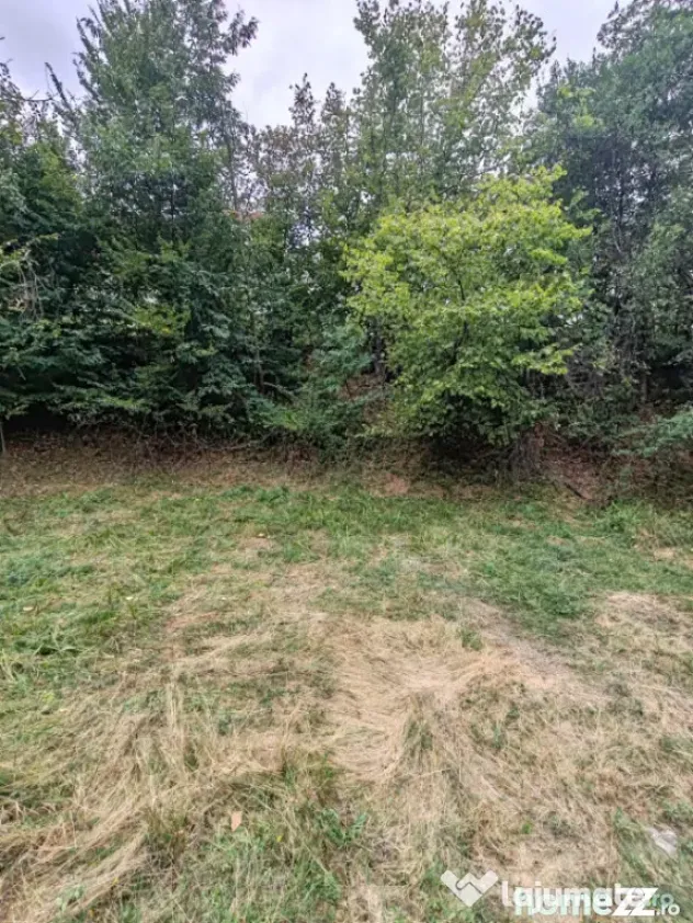 637 mp la marginea pădurii, Ulmoasa – loc pentru o casă - Ulmoasa (Maramures)