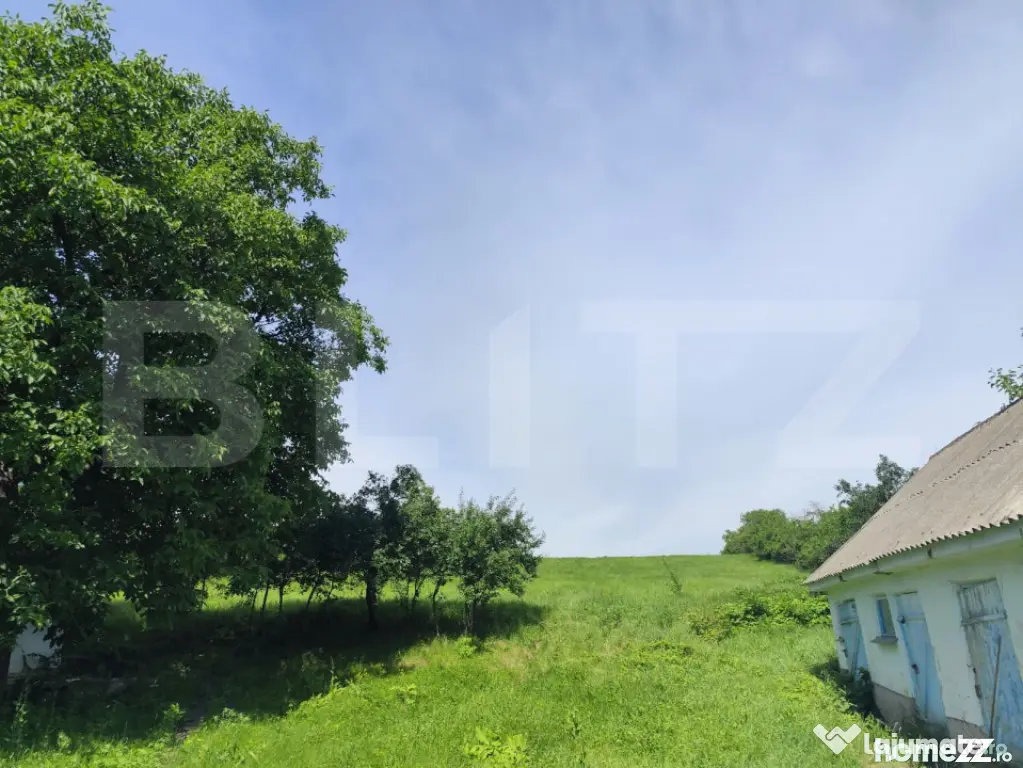 Casa 3 camere, 110 mp, 4800 mp teren, zona Horlesti - Horlesti (Iasi)