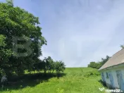 Casa 3 camere, 110 mp, 4800 mp teren, zona Horlesti