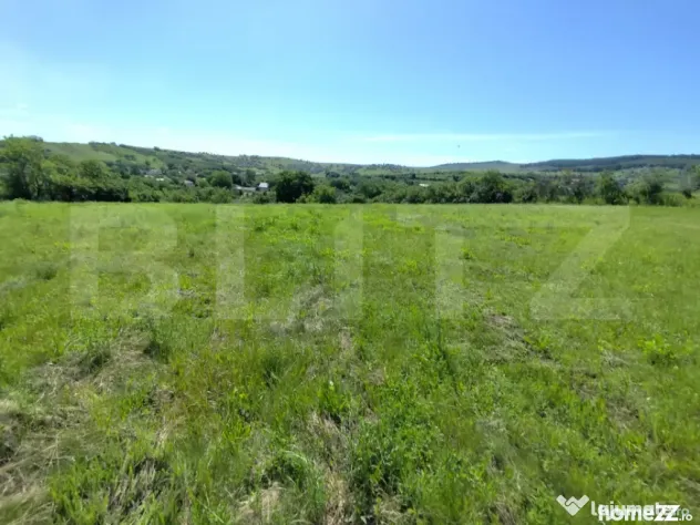 Casa 3 camere, 110 mp, 4800 mp teren, zona Horlesti - Horlesti (Iasi)