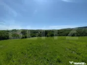 Casa 3 camere, 110 mp, 4800 mp teren, zona Horlesti