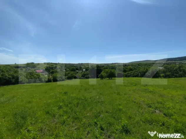 Casa 3 camere, 110 mp, 4800 mp teren, zona Horlesti - Horlesti (Iasi)