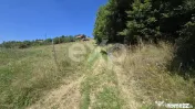 3.757 mp în Poiana Mărului | Teren cu potențial, lângă