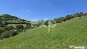 3.757 mp în Poiana Mărului | Teren cu potențial, lângă
